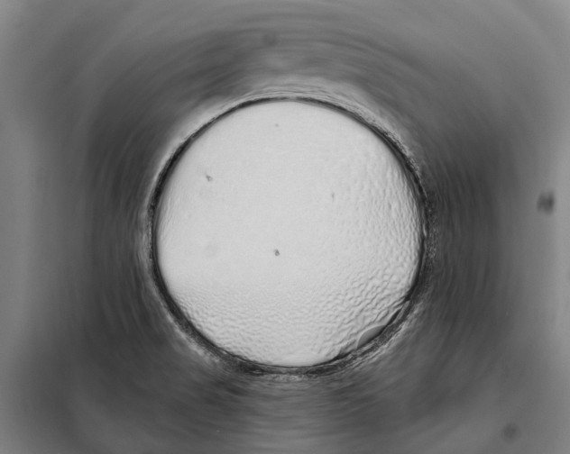 X0000097991517200804211050