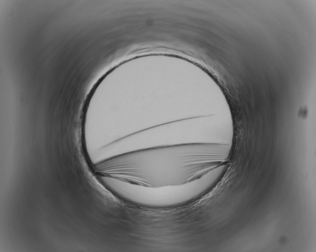 X0000097991518200804211050