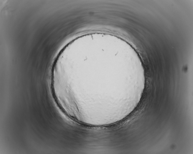 X0000097991523200804211050