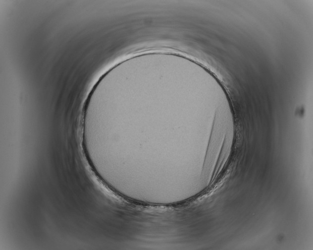 X0000097991526200804211050