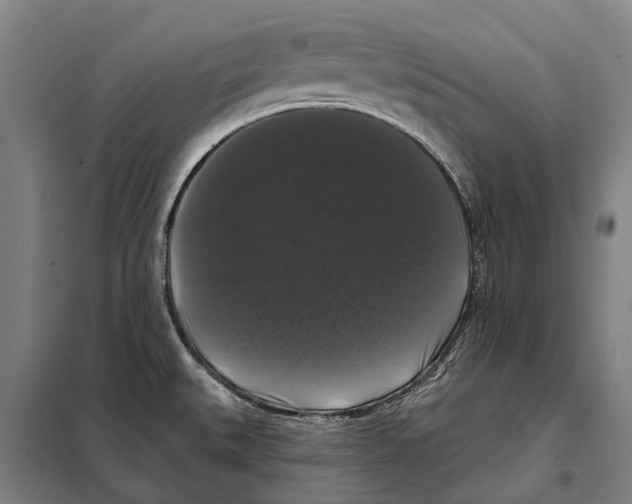 X0000097991527200804211050