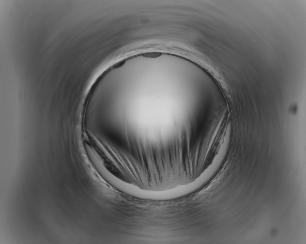 X0000097991530200804211050