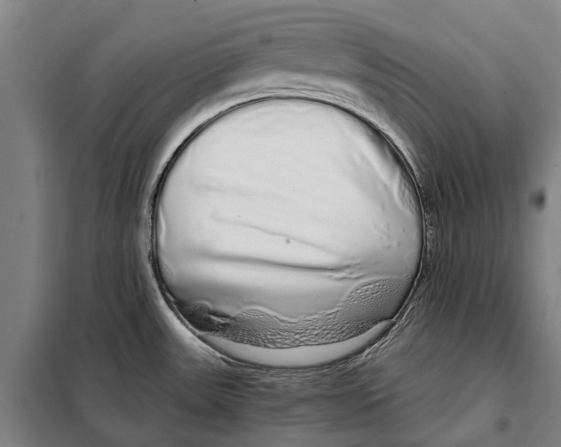 X0000097991531200804211050