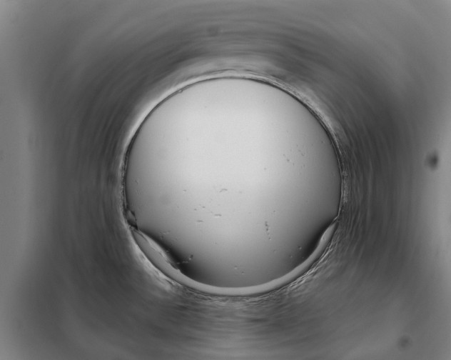 X0000097991532200804211051