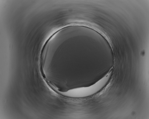 X0000097991533200804211051