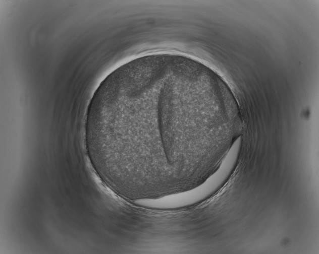 X0000097991534200804211051