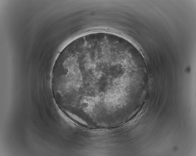 X0000097991535200804211051