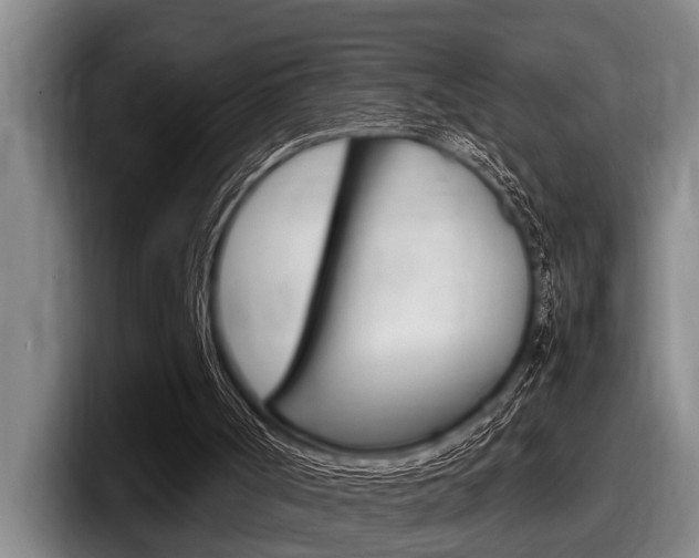 X0000098000002200803241051