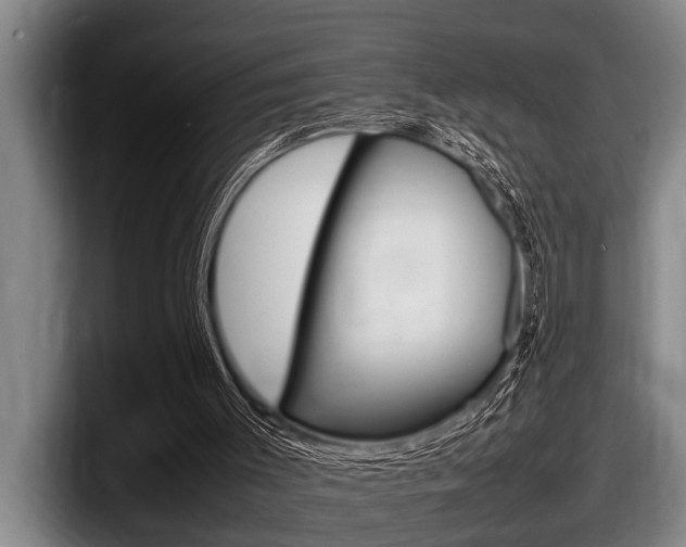 X0000098000003200803241051