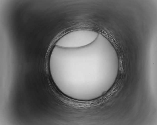 X0000098000004200803241051