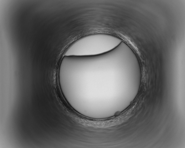 X0000098000010200803241051