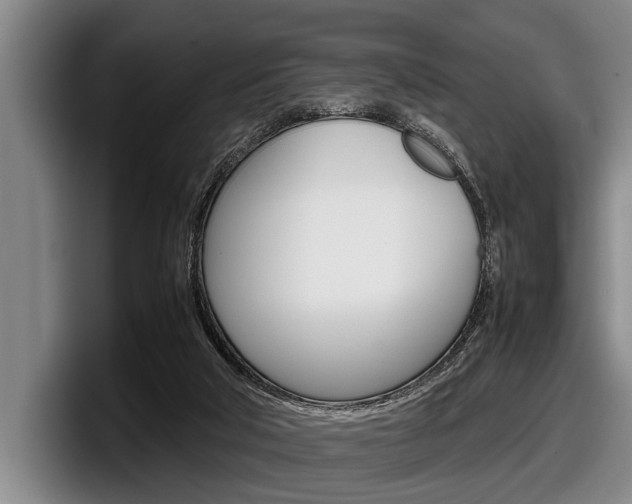 X0000098000018200803241050