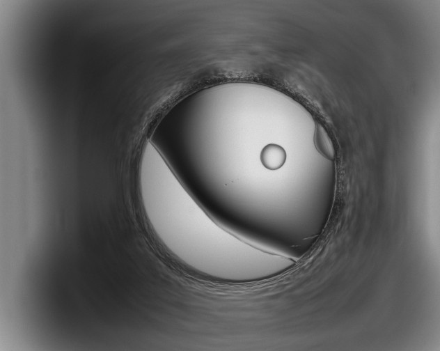 X0000098000019200803241050