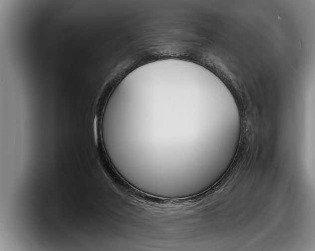 X0000098000020200803241050