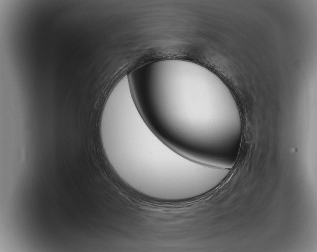 X0000098000021200803241050