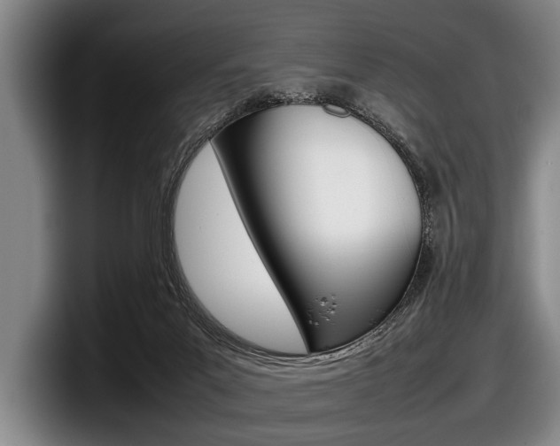 X0000098000023200803241050