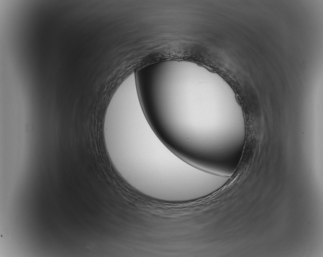 X0000098000029200803241050