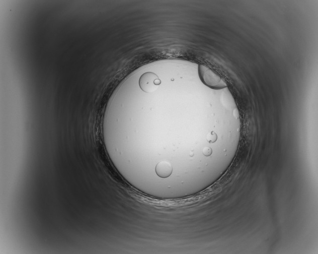 X0000098000030200803241050