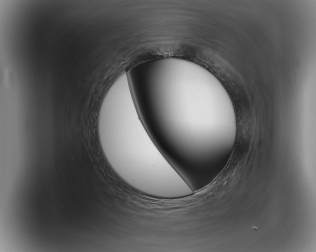X0000098000031200803241050