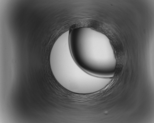 X0000098000045200803241050
