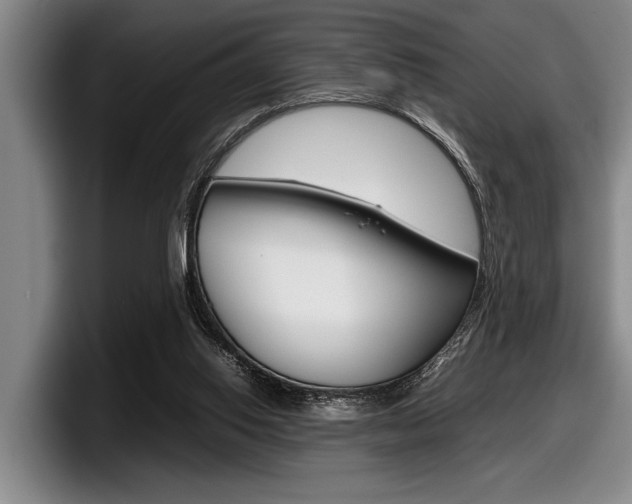 X0000098000062200803241050
