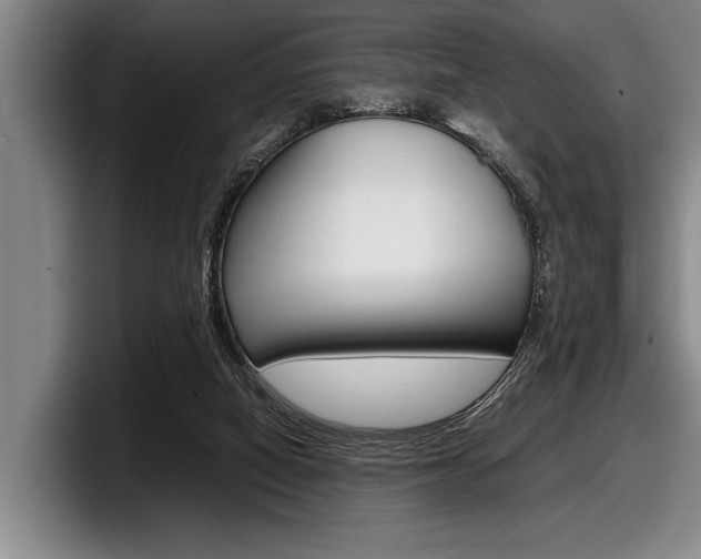 X0000098000066200803241050