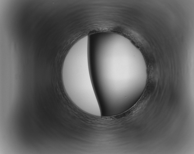 X0000098000076200803241050