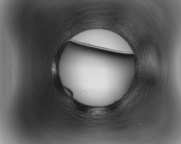 X0000098000089200803241050