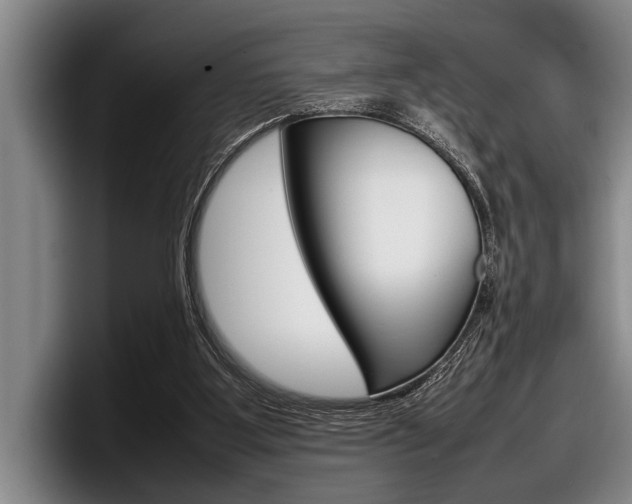 X0000098000107200803241049