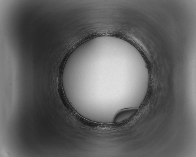 X0000098000113200803241049