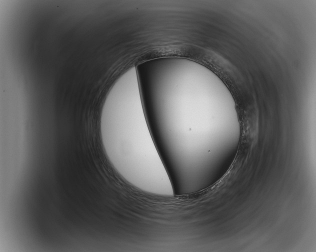 X0000098000124200803241049