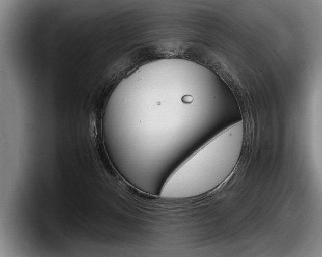 X0000098000128200803241049
