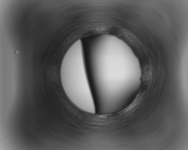 X0000098000140200803241049