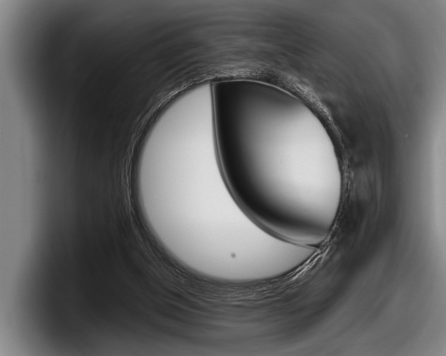 X0000098000154200803241048