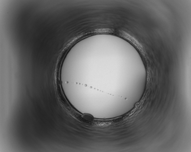X0000098000155200803241048