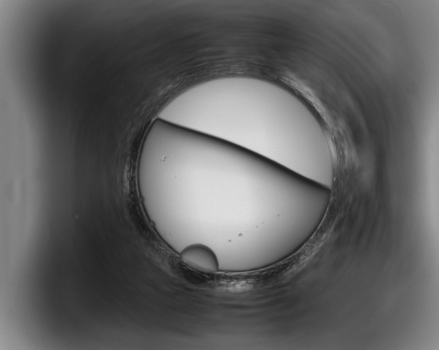 X0000098000161200803241048