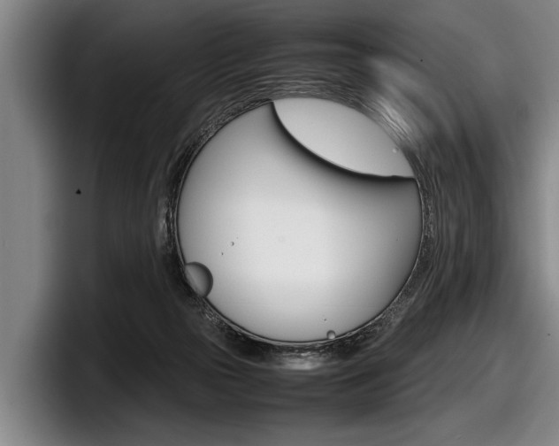 X0000098000169200803241049
