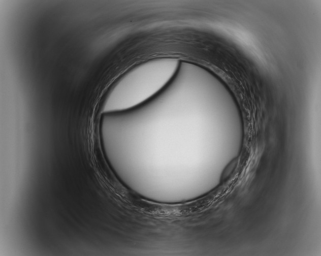 X0000098000194200803241048