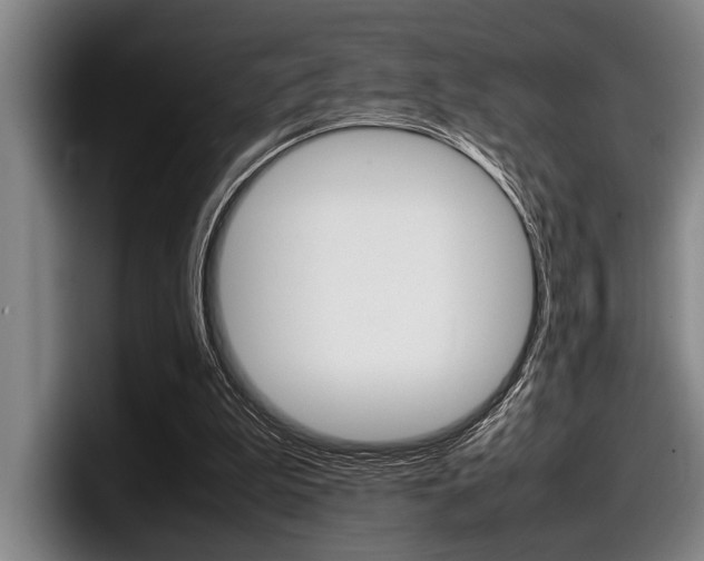 X0000098000199200803241048