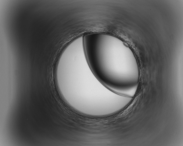 X0000098000201200803241048