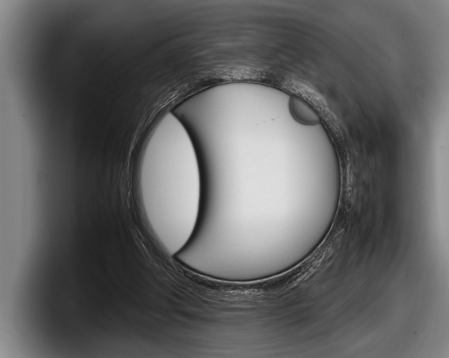 X0000098000202200803241048