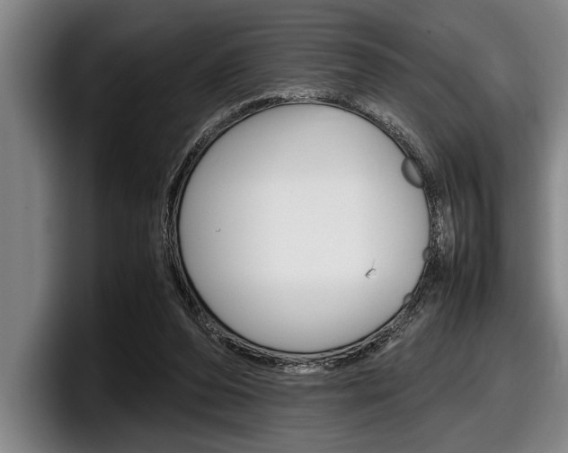 X0000098000208200803241048