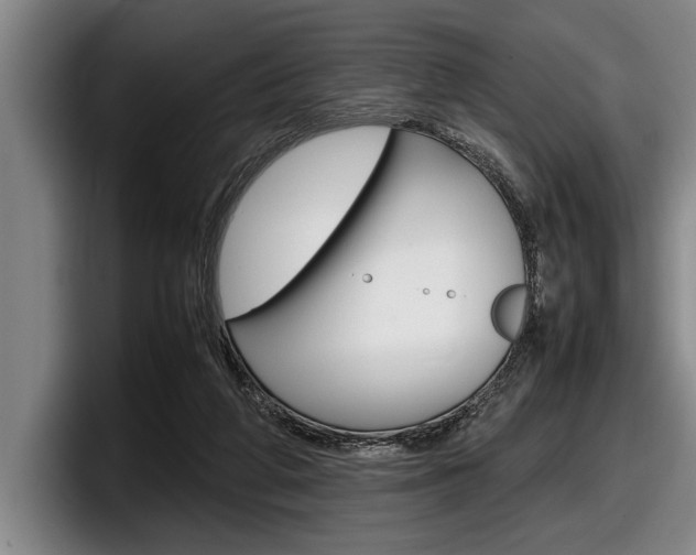X0000098000210200803241048