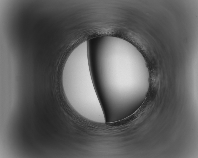 X0000098000211200803241048