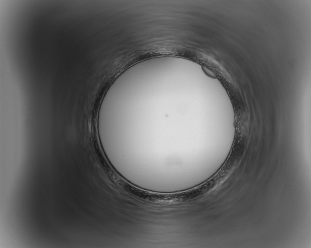 X0000098000213200803241048