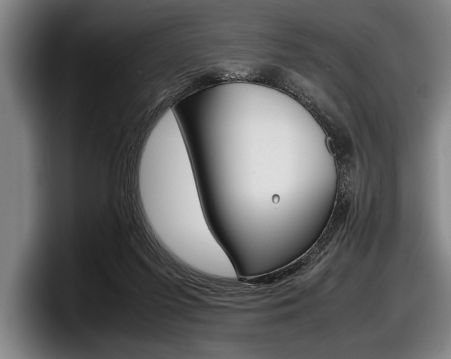 X0000098000215200803241048