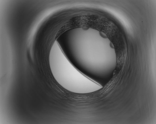 X0000098000239200803241048