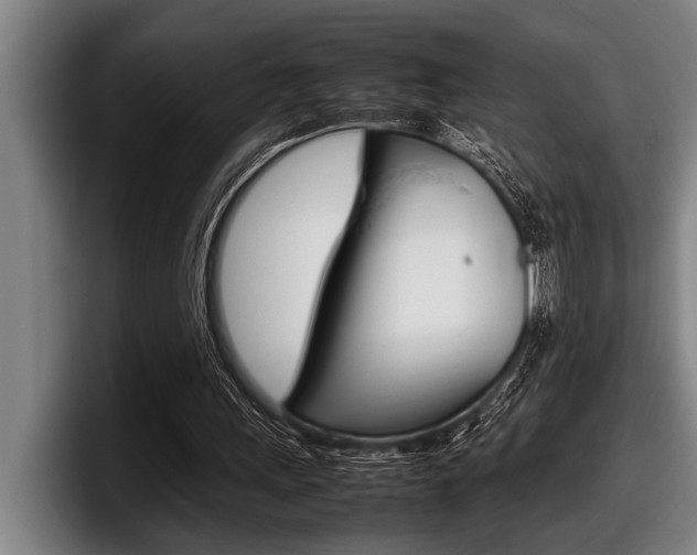 X0000098000243200803241047