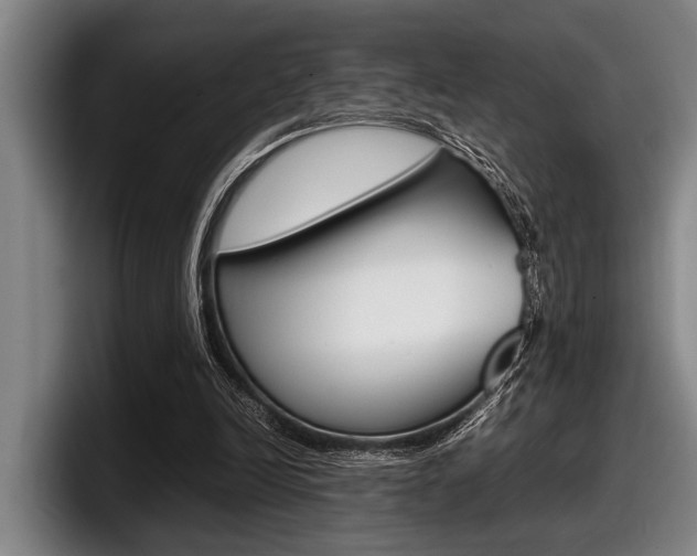 X0000098000246200803241047