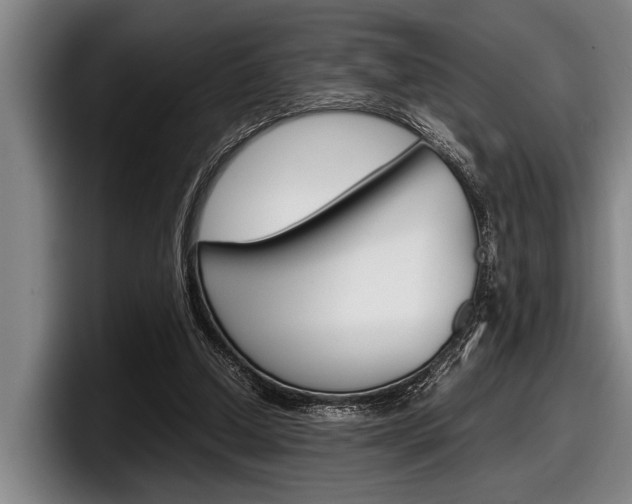 X0000098000250200803241047